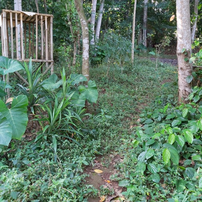 Jual tanah kosong  bisa nego cocok untuk membuat kos2an