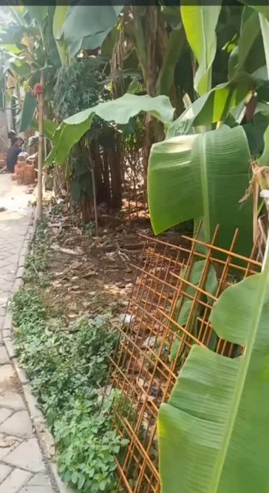 Dijual cepat dan murah meriah