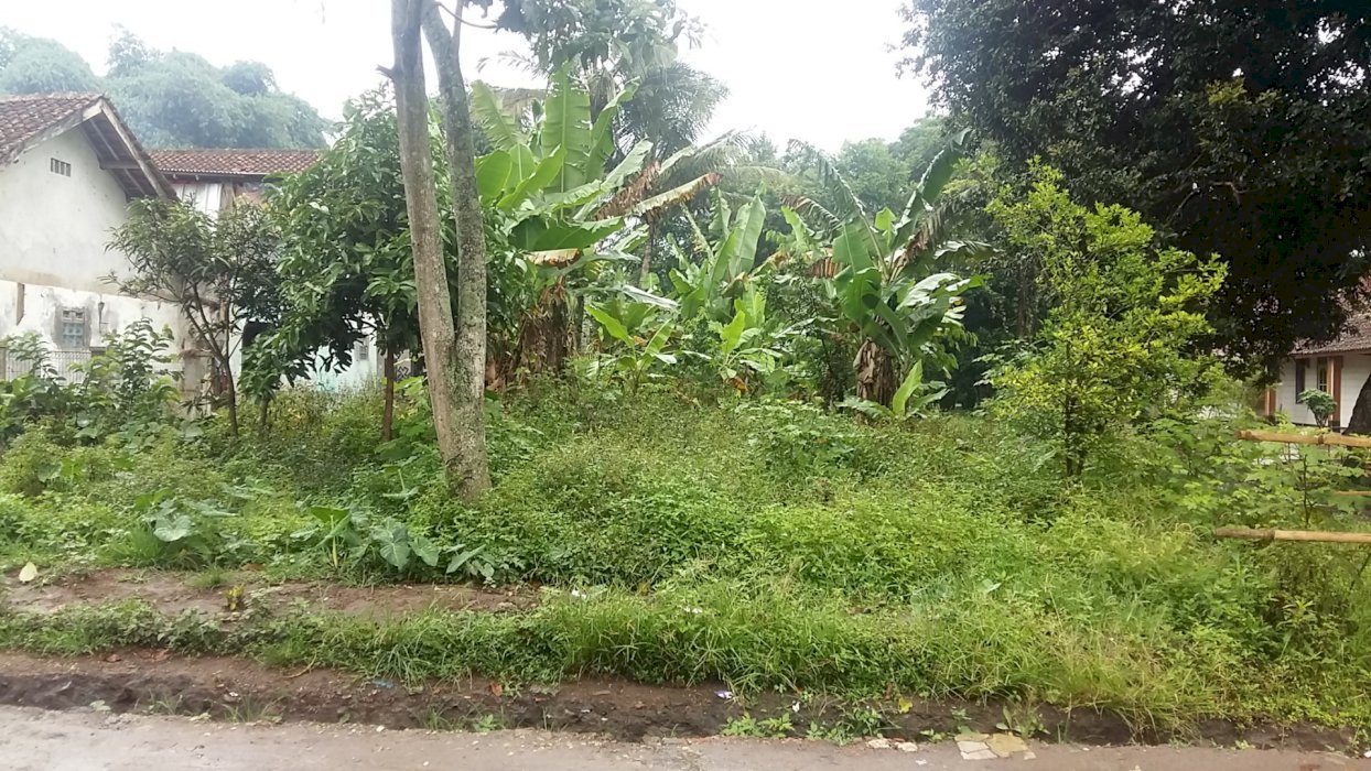 Jual tanah 10hektar jona kuning