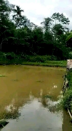 Jual tanah dan pesawahan