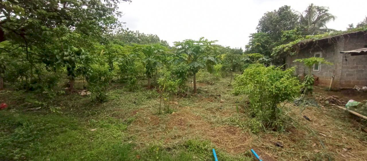 Jual Cepat Murah Tanah Kavling Dekat Bogor Kota