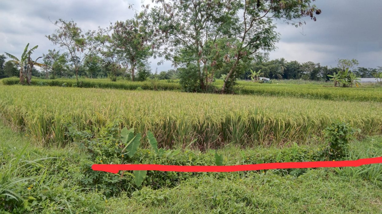 Tanah untuk invest di daerah strategis