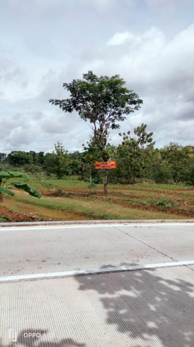 Di jual tanah dekat jalan raya