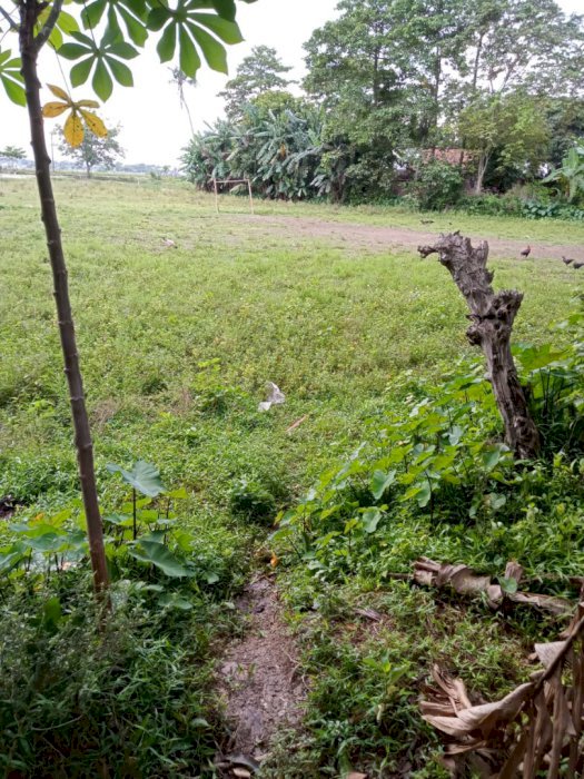 Jual tanah sawah di sukatani