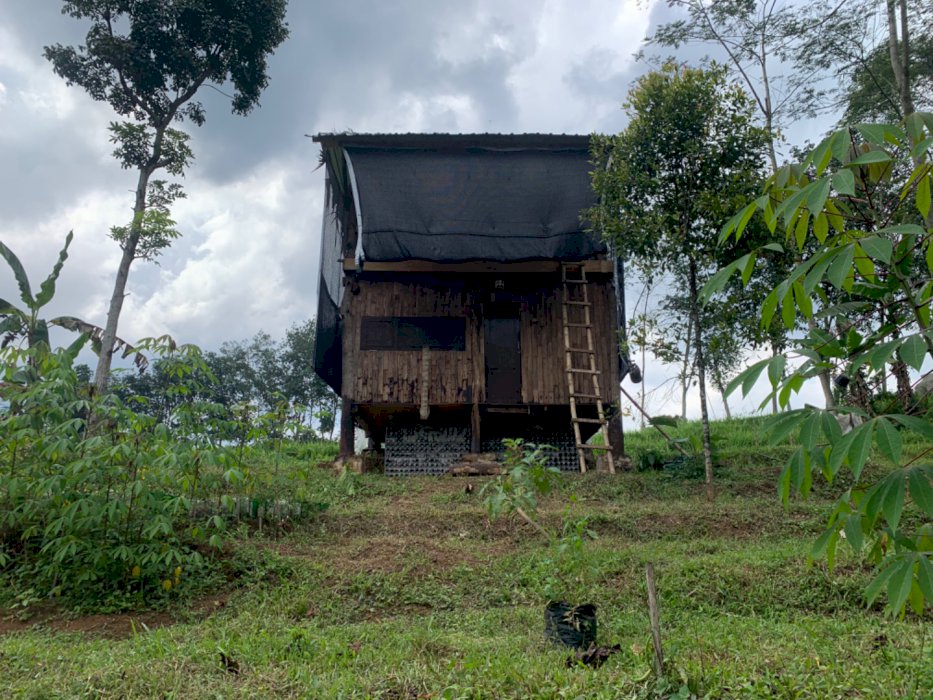 Jual tanah perkebunan dan rumah kayu