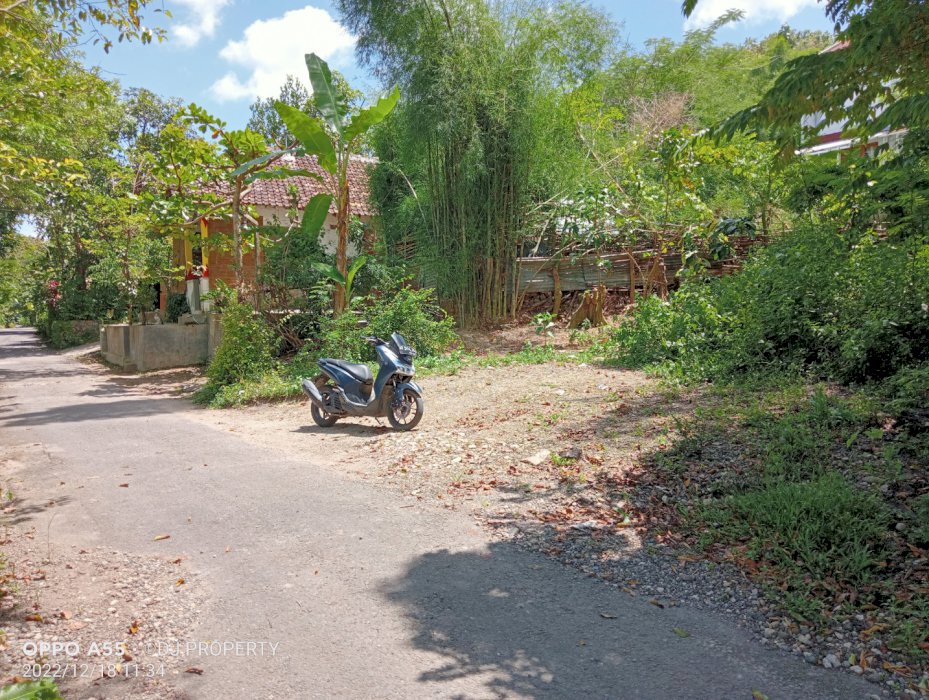 TANAH PEKARANGAN PINGGIR ASPAL KAMPUNG TIMUR KASIHAN