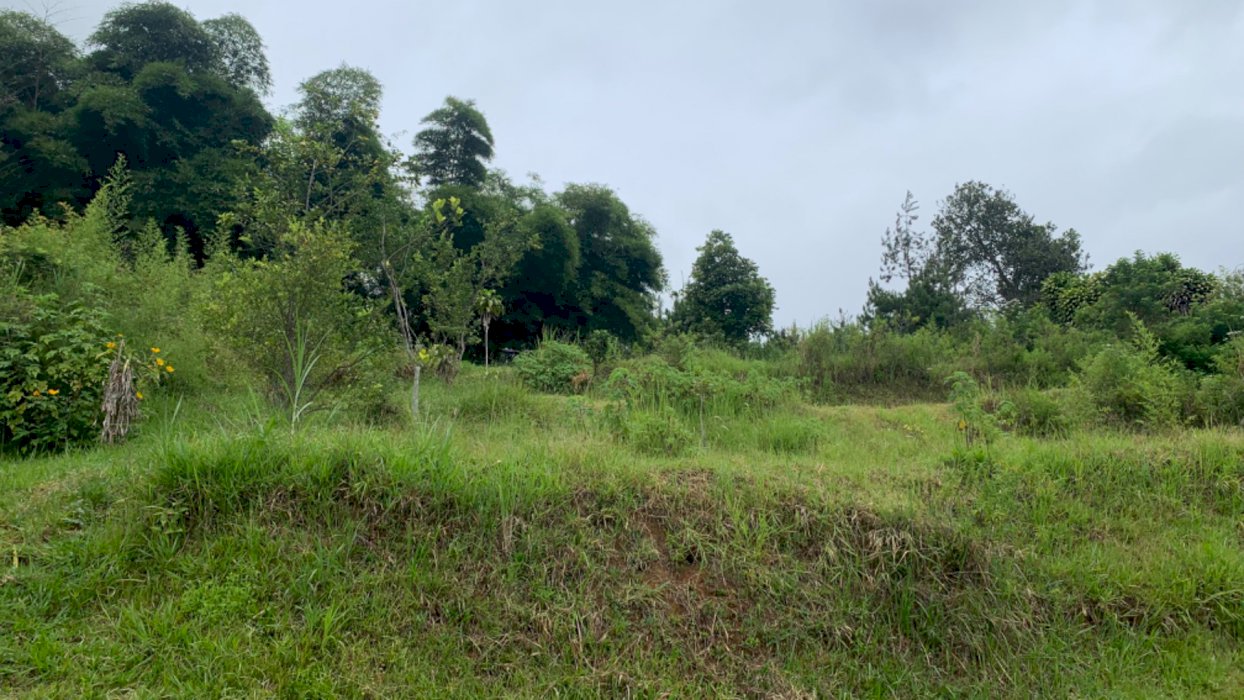 JUAL TANAH KAWASAN PENEROPONGAN BOSCHA LEMBANG