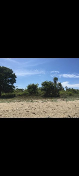 TANAH PINGGIR LAUTTT