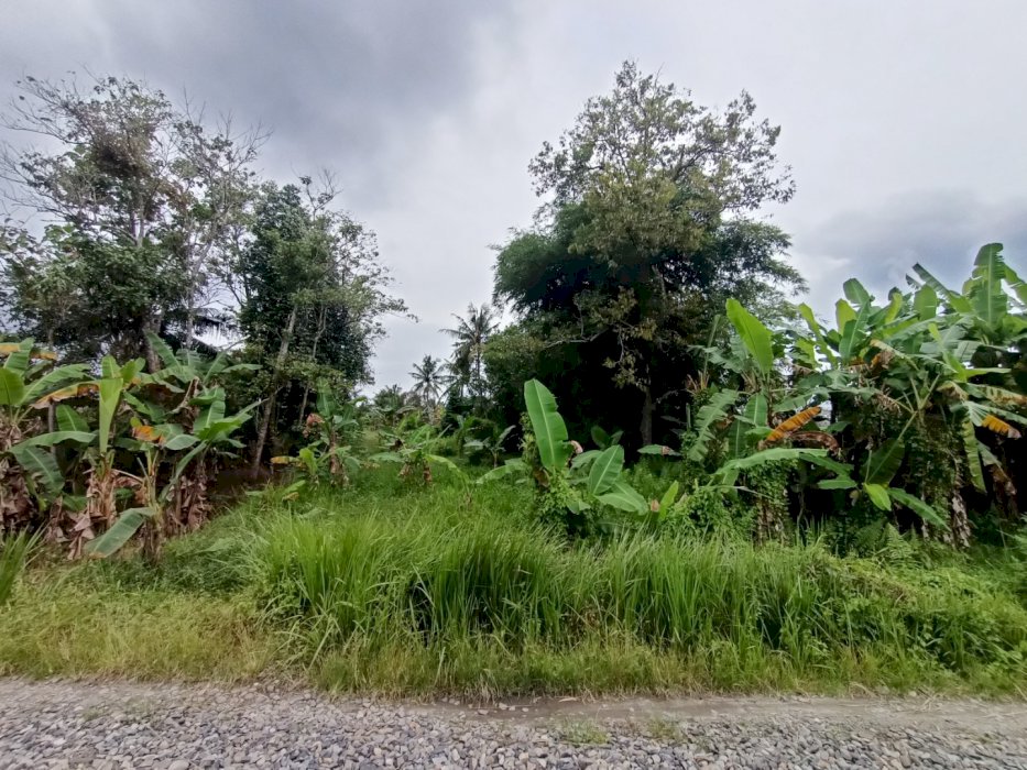 Jual Tanah Tapak 5x92 MÂ²