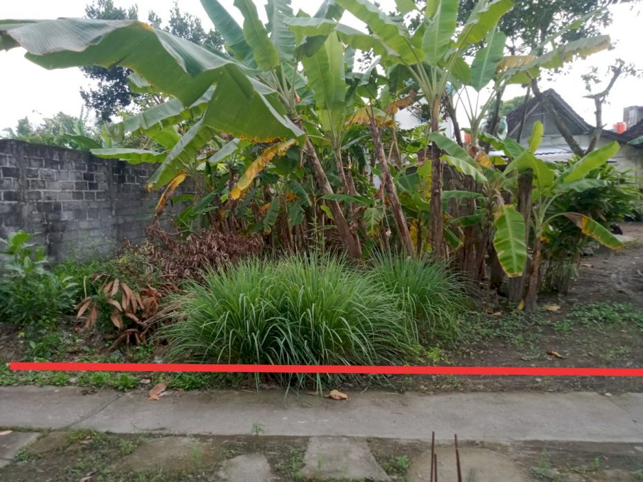 DIJUAL TANAH PEKARANGAN SELATAN KAMPUS UMY