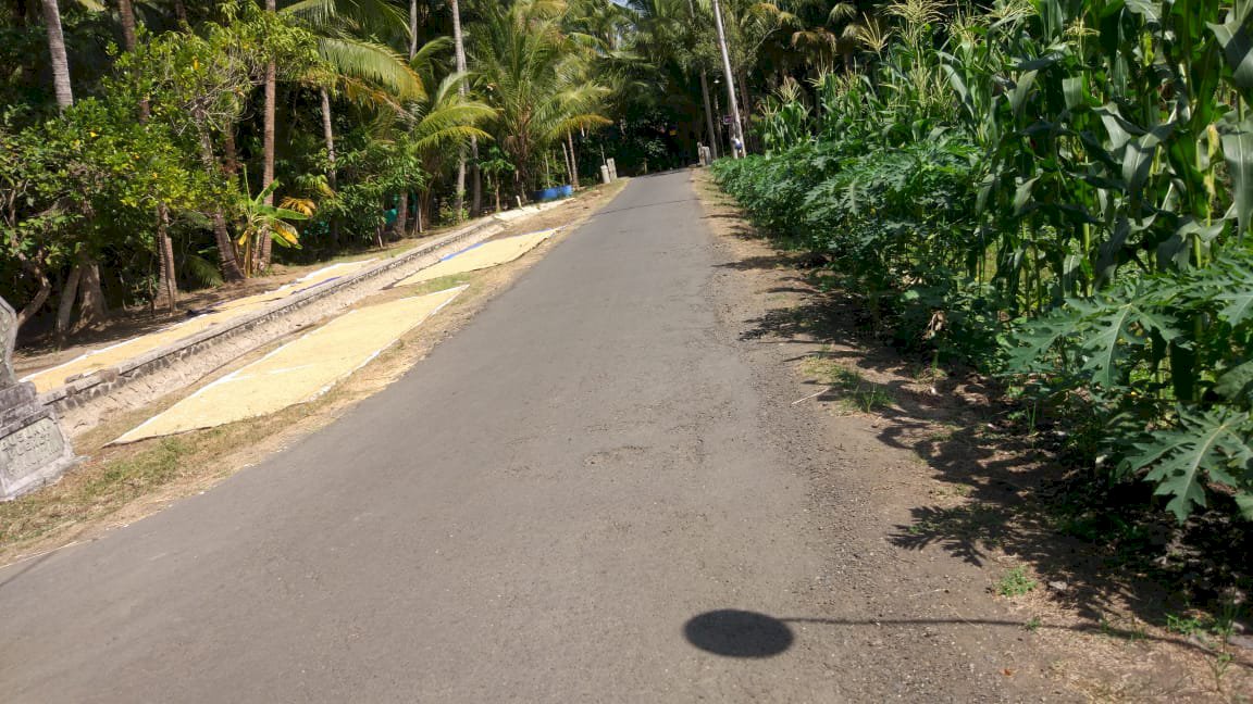 Dijual Tanah Pekarangan