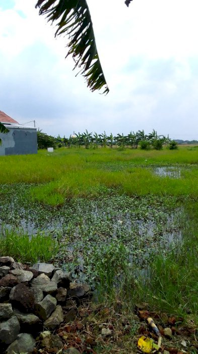 Jual tanah kavling ds adidahrma