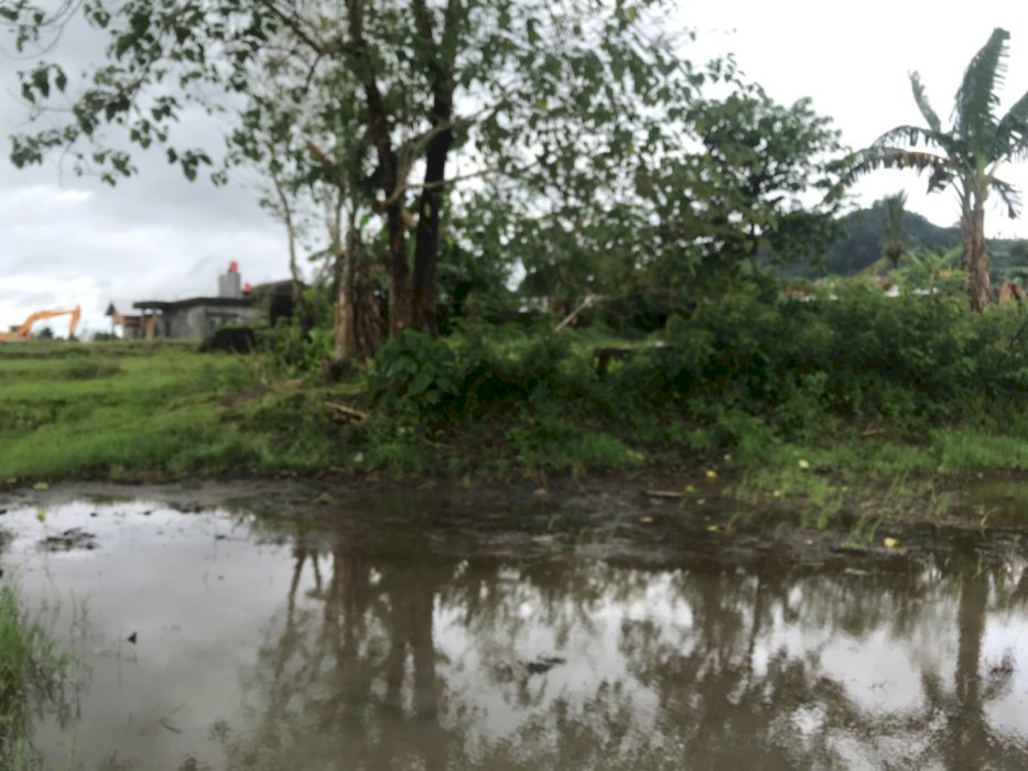 Jual TANAH -+40 are dekat  JALAN POROS PATTALLASSANG GOWA