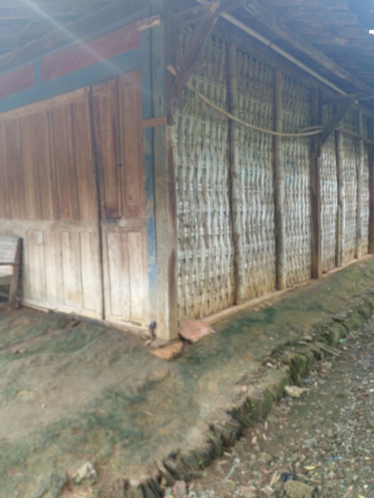 Rumah joglo kayu jati tpk