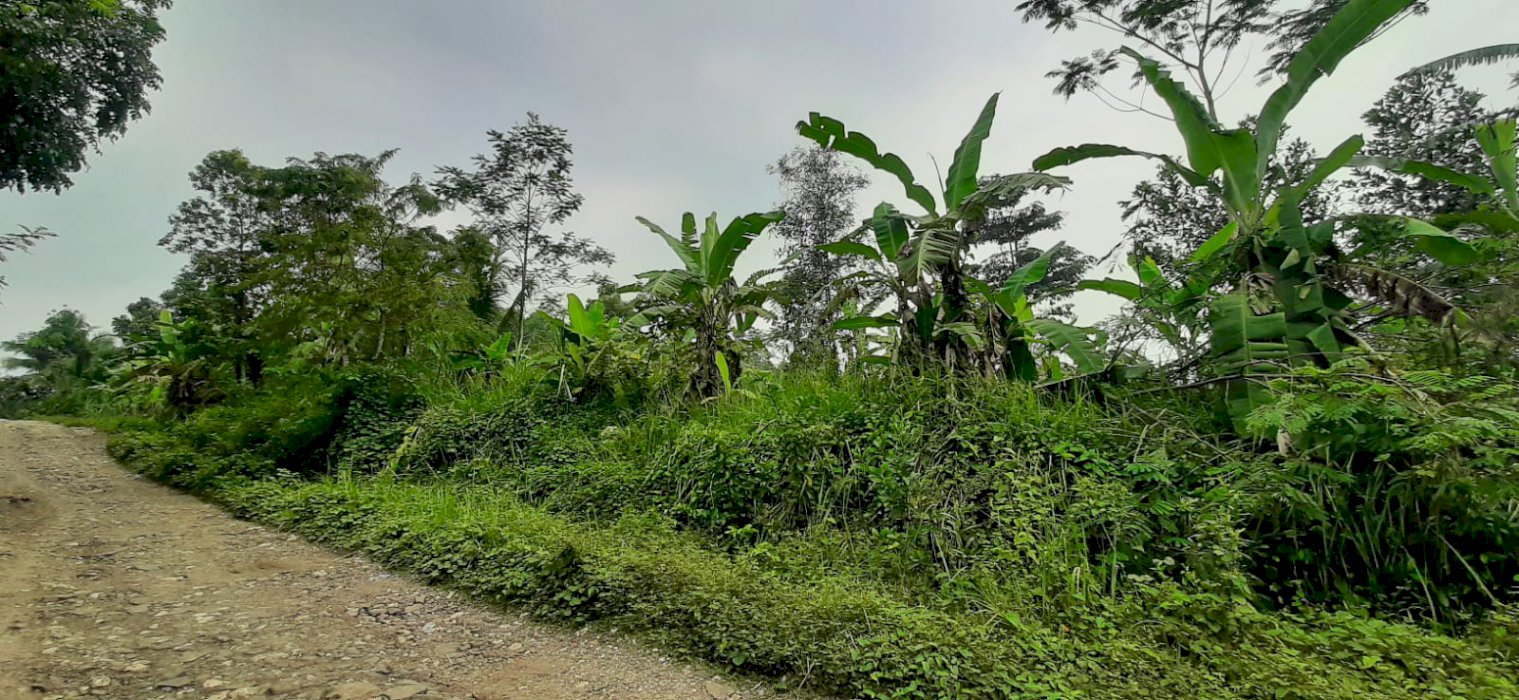 Jual tanah daerah ciburuy