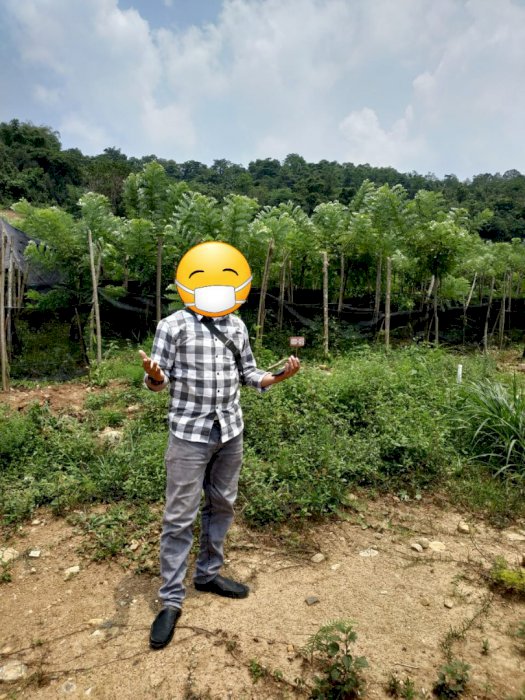 Jual tanah Kavling siap Panen