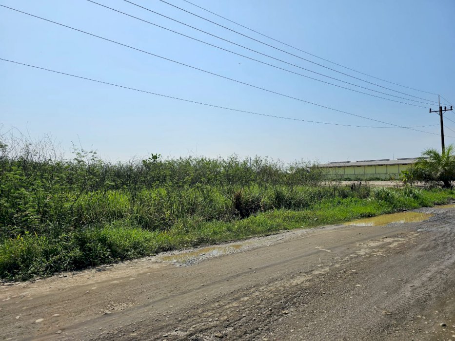 Dijual Tanah Daerah Paluh Gelombang