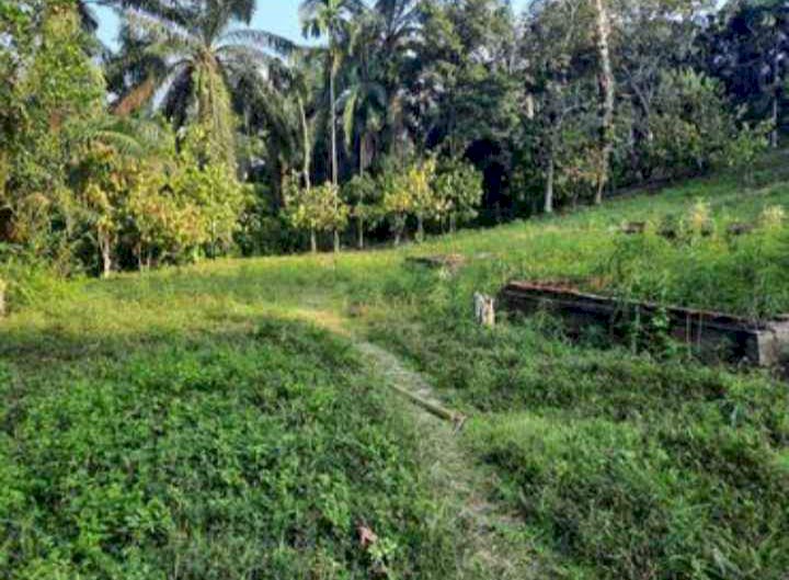 Jual tanah berpondasi rumah