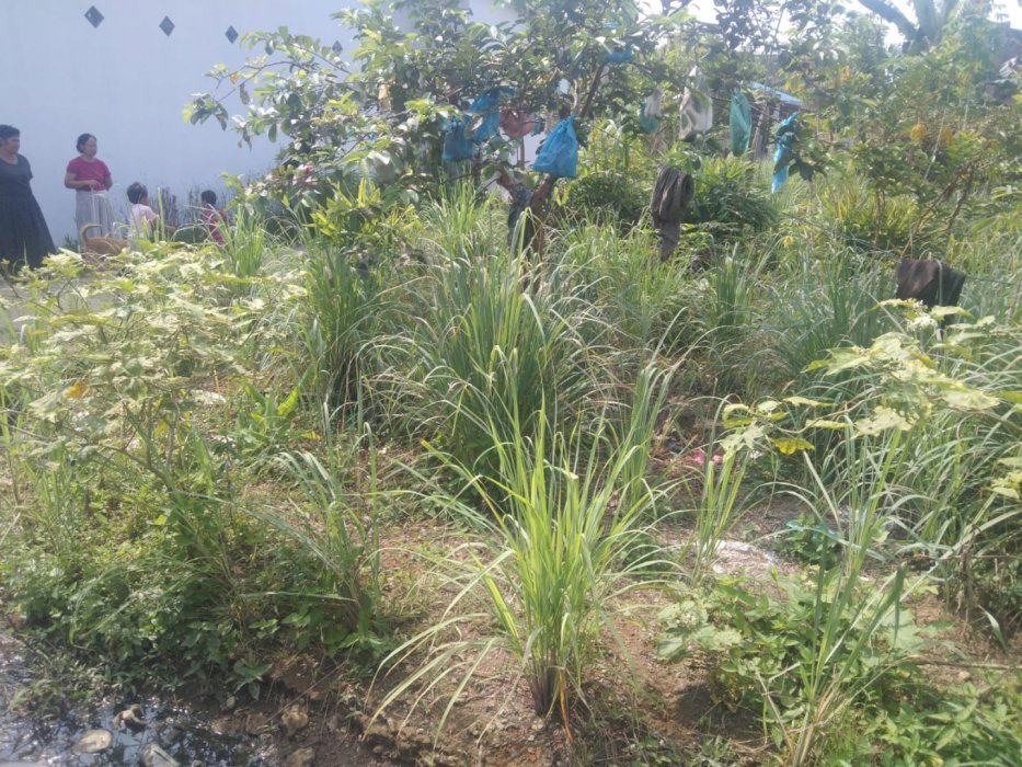 Jual tanah murah Simalingkar B