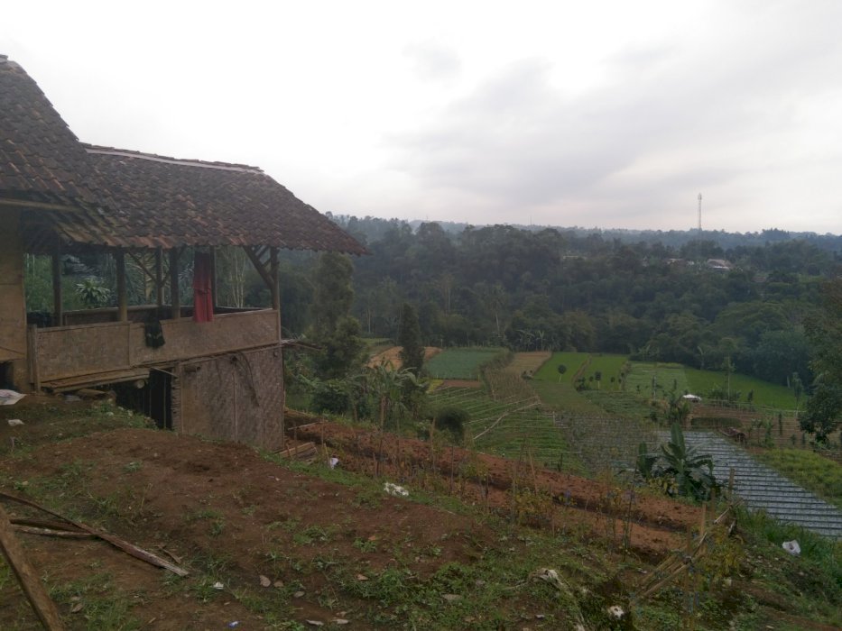 Dijual tanah 1,5 hektar per meter 250 ribu di wilayah Sukabumi