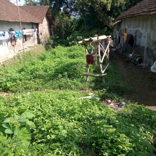 Tanah shm ukuran 8x50 lokasi perkampungan