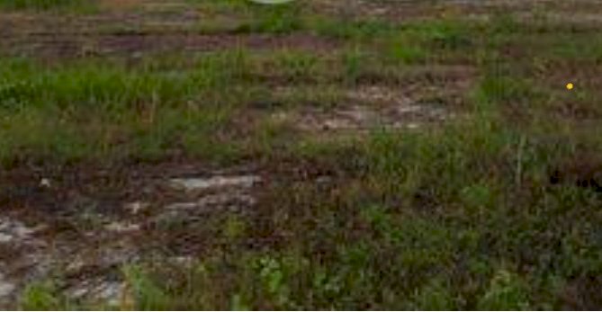 Jual Tanah Payabakung Medan