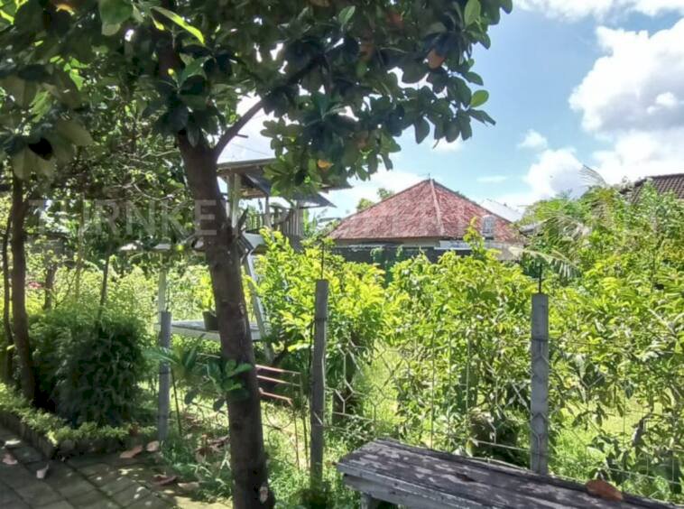 (#BSLF152) Prime Investment Opportunity, 11 Ara Land in Sanur Area