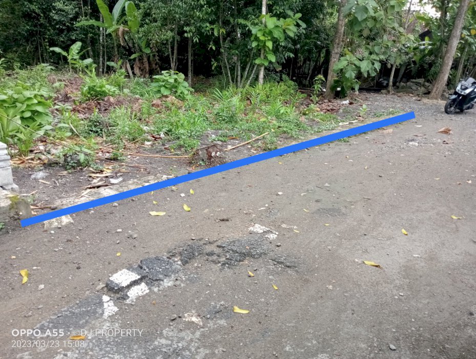 Tanah pekarangan selatan kampus UMY