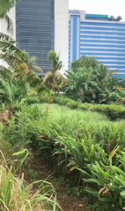 DIJUAL TANAH Di bawah NJOP 15000 JL RAYA KRANGGAN dkt plaza Cibubur