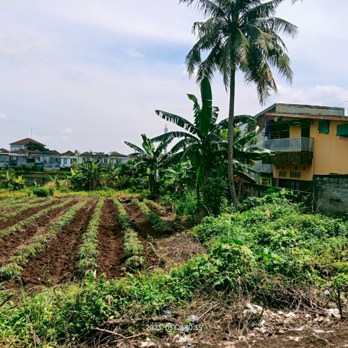 Dijual Cepat Tanah Dekat UNPAM 2 Pamulang