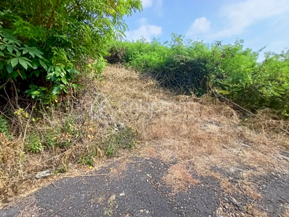 (#BSLF111) Rarely and Good Size Plot Land for Freehold in Ungasan Area