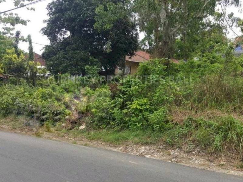 (#BSLF112) Rarely Plot Land for Freehold in Pecatu Area