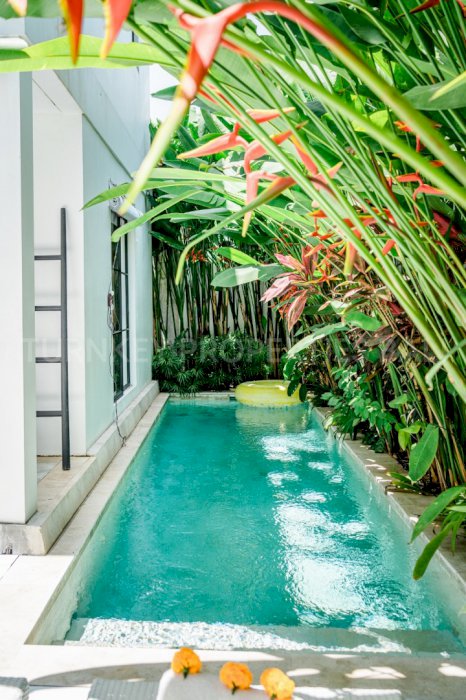 (#BSVL201) A Charming 3 Bedroom Villa near Pererenan Beach