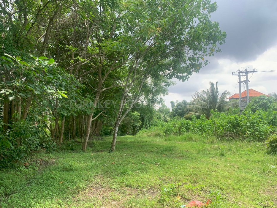 (#BSLL116) Affordable Leasehold 25 Are Land in Padonan