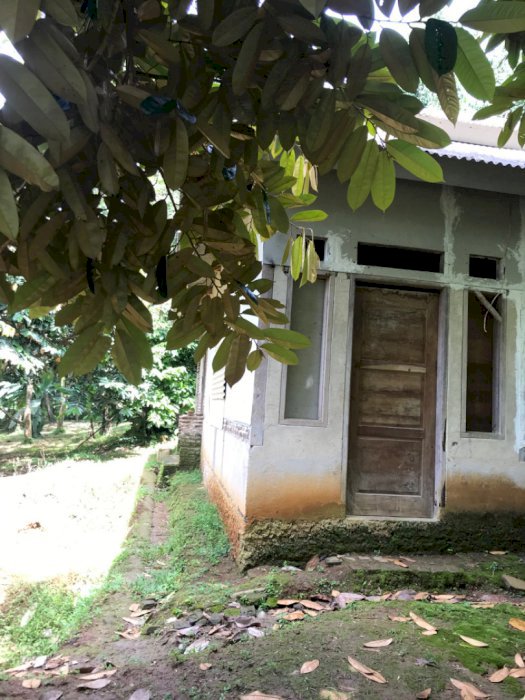 Jual tanah kebun 500M wisata pantai anyer