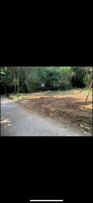 Di jual tanah pekarangan murah