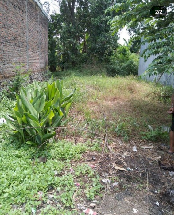 Dijual CEPAT, Tanah Kavling MURAH