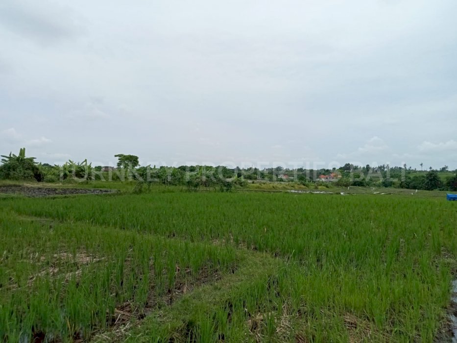 (#BSLL117) Affordable Leasehold 46 Are Land in Tanah Lot