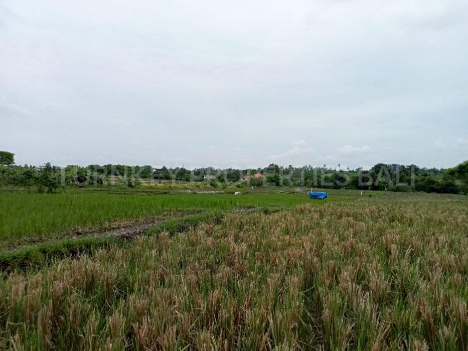 (#BSLL118) Affordable Leasehold 40 Are Land in Tanah Lot