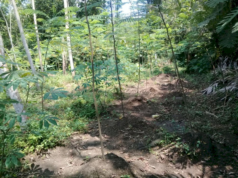 Dijual Tanah Kebon wilayah Mertoyudan