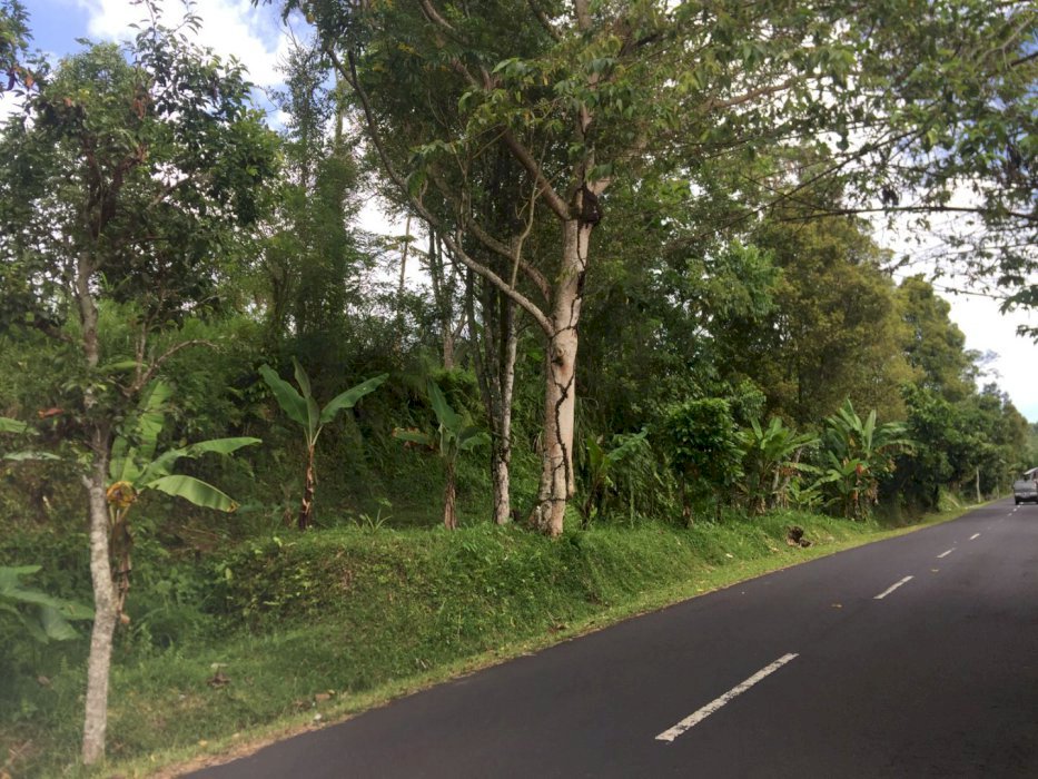 DIJUAL TANAH PINGGIR JALAN