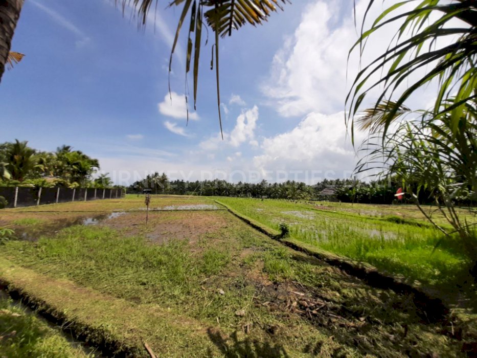 (#BSLL107) Great Leasehold Land 3,200 sqm in Tanah Lot