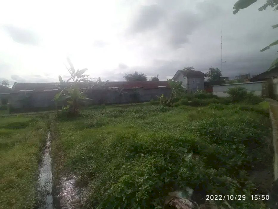 [DIJUAL] Sebidang tanah pertanian di Pabuaran, Purwokerto Utara