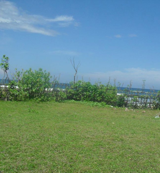 Di Jual Tanah Los Pantai Prancak