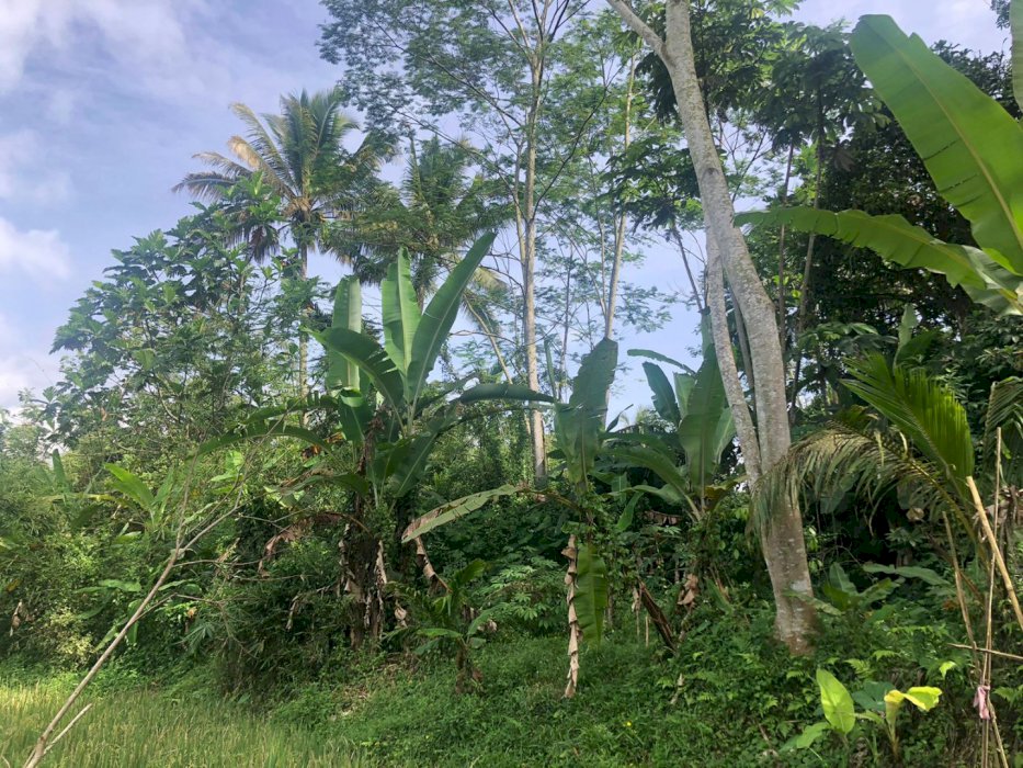 Di jual tanah dengan di lengkapi sertifikat atas nama pribadi,