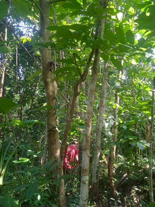 Jual tanah di bawah njop