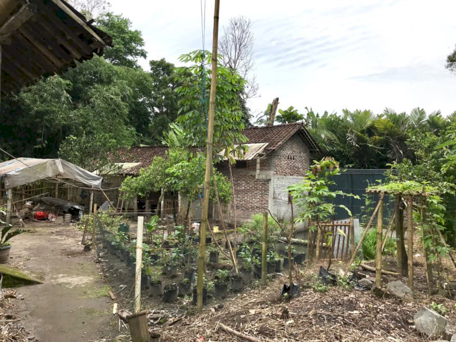 dijual tanah beserta rumah