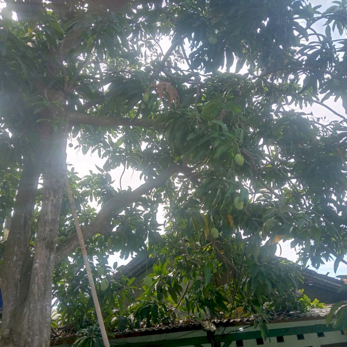 jual rumah,dekat stadion bola,kota,pasar,tol