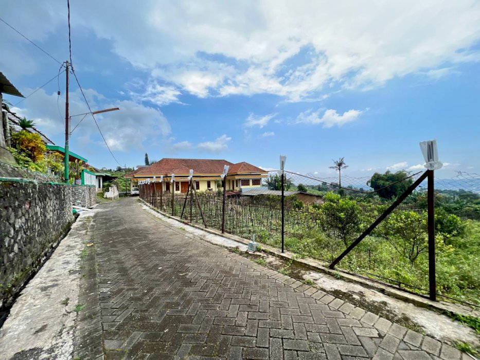 HARGA JAUH DI BAWAH PASARAN, BU!