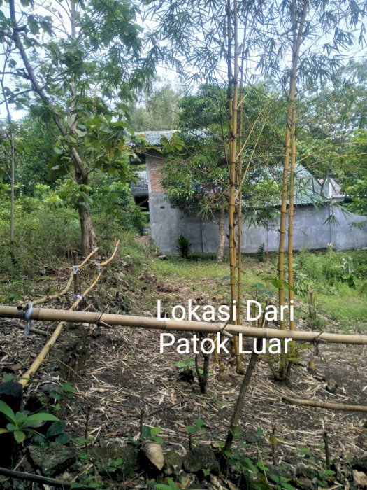 Tanah Pekarangan Dijual